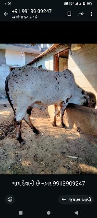 थंबनेल 2