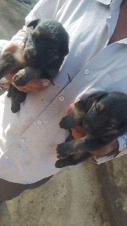 थंबनेल 3