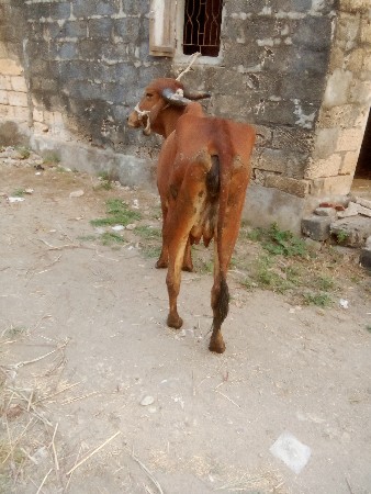 थंबनेल 2