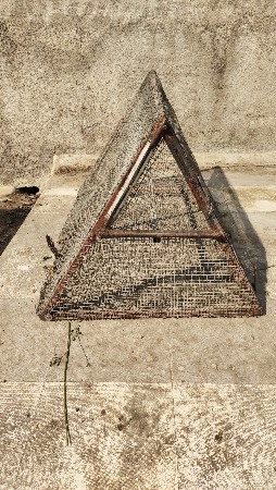 panjru original gelvenight nu