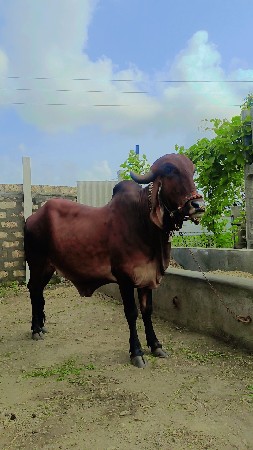 थंबनेल 2