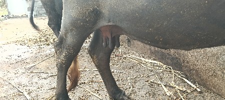 थंबनेल 3