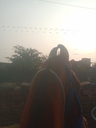 થંબનેલ 2