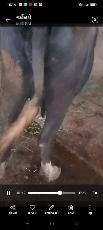 थंबनेल 2