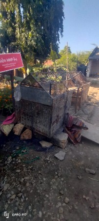 pijaru vesvanu 2 pijara se