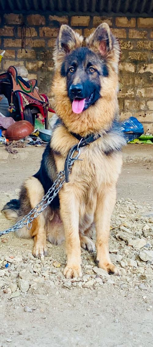 थंबनेल 2