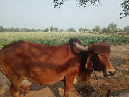 थंबनेल 2