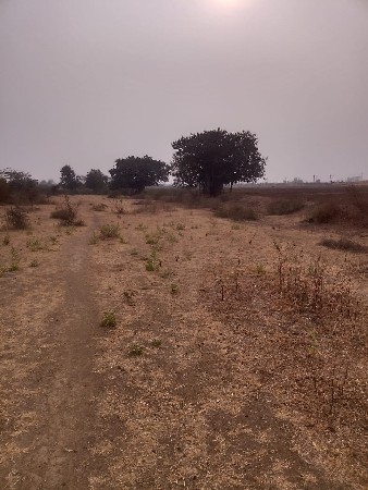 સસ્તી જમીન