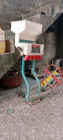 ઉમીયા ઓરની