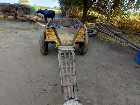 थंबनेल 3