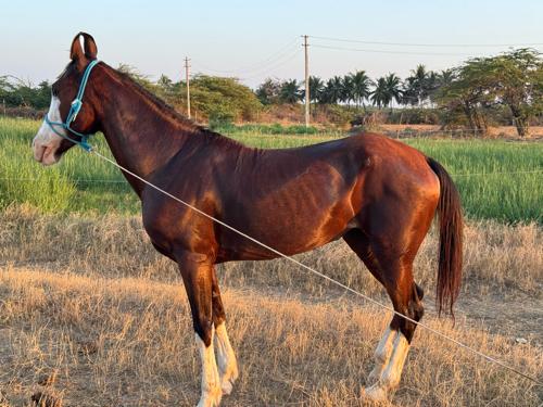 थंबनेल 3