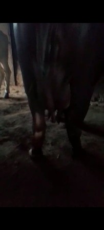 थंबनेल 3