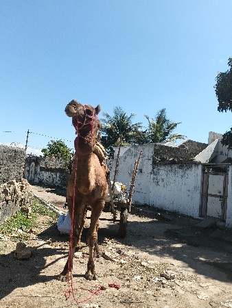 थंबनेल 2