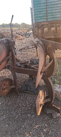 મોટી ગોપ