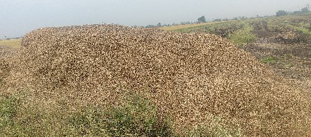 મગફળી નો ભૂકો વેચવાનો છે