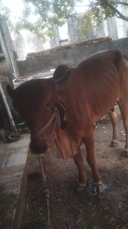 थंबनेल 3