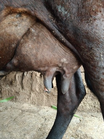 थंबनेल 3