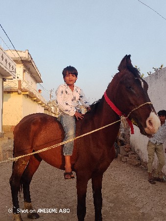 થંબનેલ 2