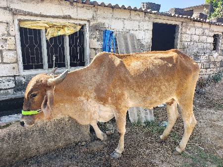 थंबनेल 3