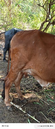 थंबनेल 2