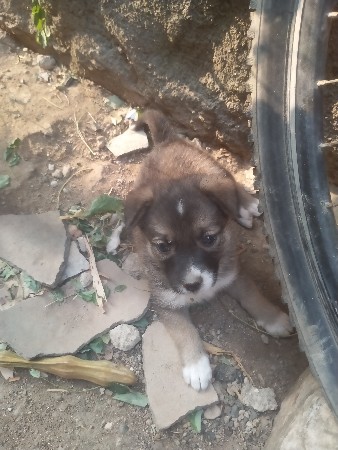 थंबनेल 3