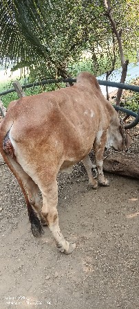 थंबनेल 2