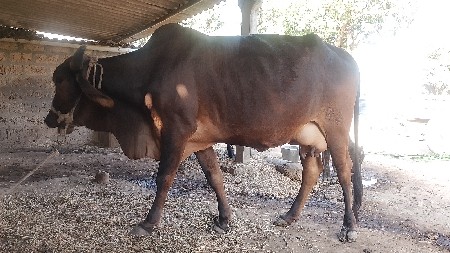 थंबनेल 3