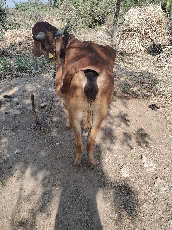 थंबनेल 2