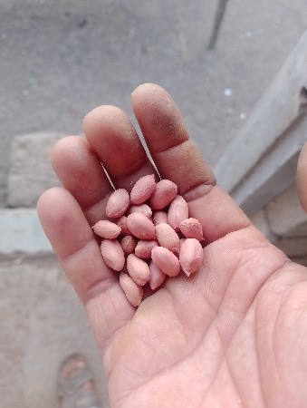 થંબનેલ 3