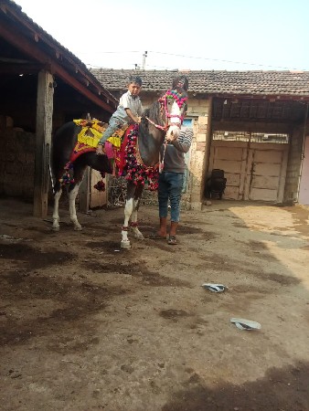 વસેરી વેચવાની છે