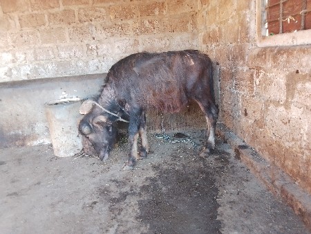 थंबनेल 2