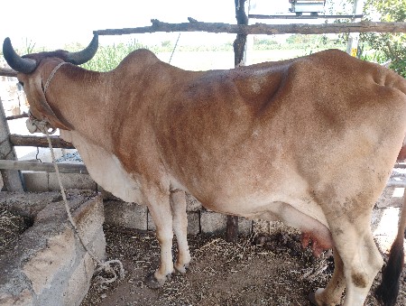 थंबनेल 2