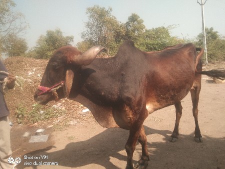 थंबनेल 3