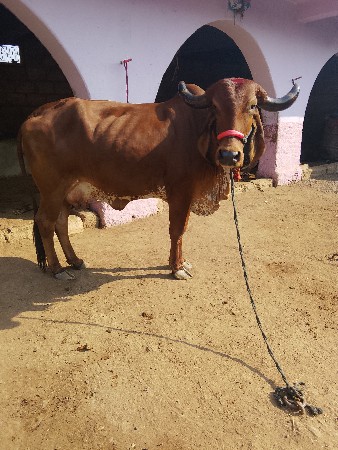 थंबनेल 3