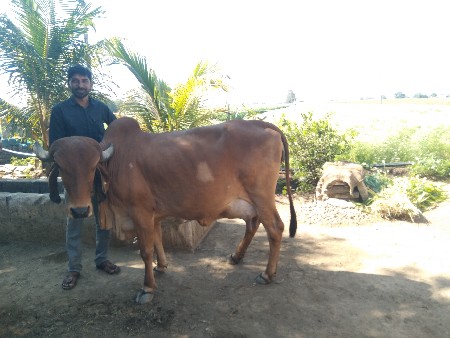 थंबनेल 2