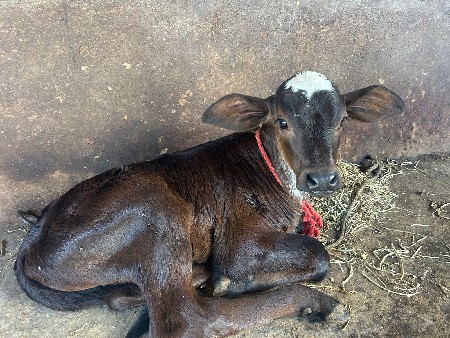 थंबनेल 2