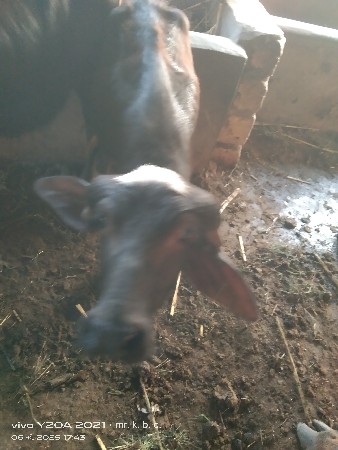 थंबनेल 2