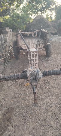 थंबनेल 3