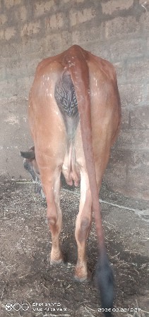 थंबनेल 2