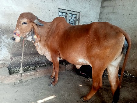 थंबनेल 3