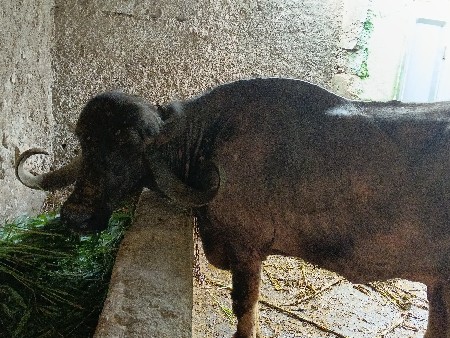 थंबनेल 3