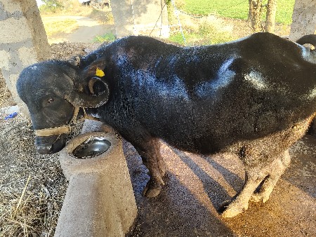 थंबनेल 3