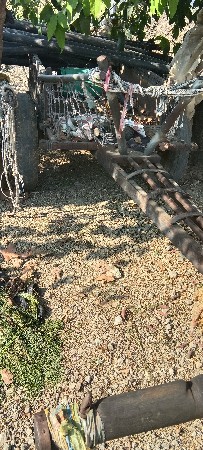 ગાડું વેચવાનું છે સાગનું