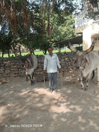 2 dharna bardhu deva na se