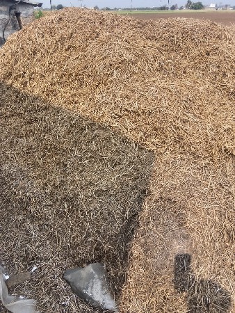 ભૂકો (પાલો) વેચવાનો છે