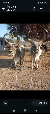 थंबनेल 2