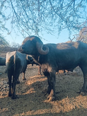 થંબનેલ 3