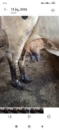 થંબનેલ 2