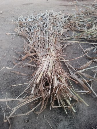 ની ણ વેચવા ની છે