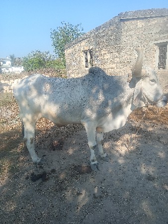 थंबनेल 3